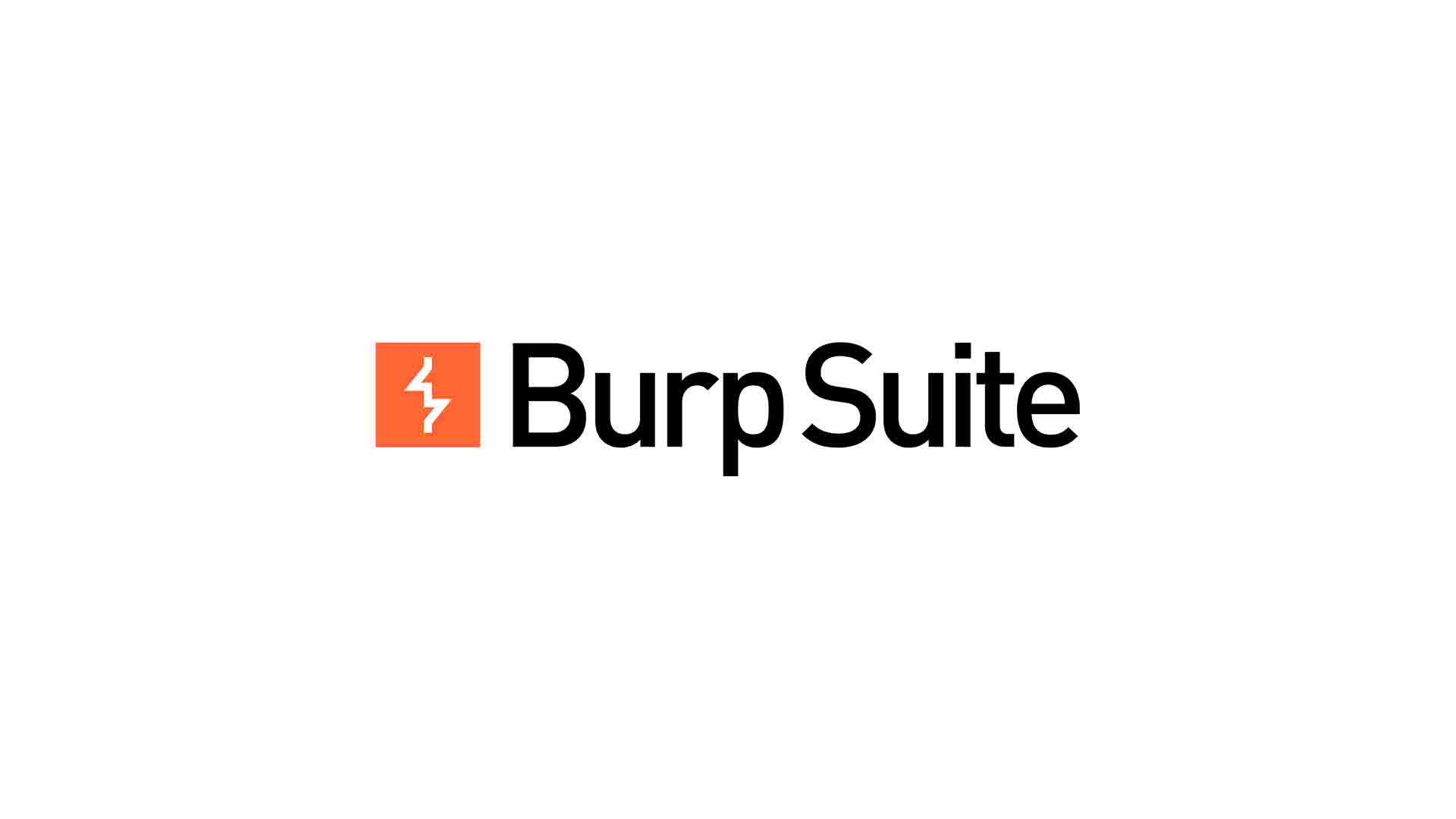  Burp Suite