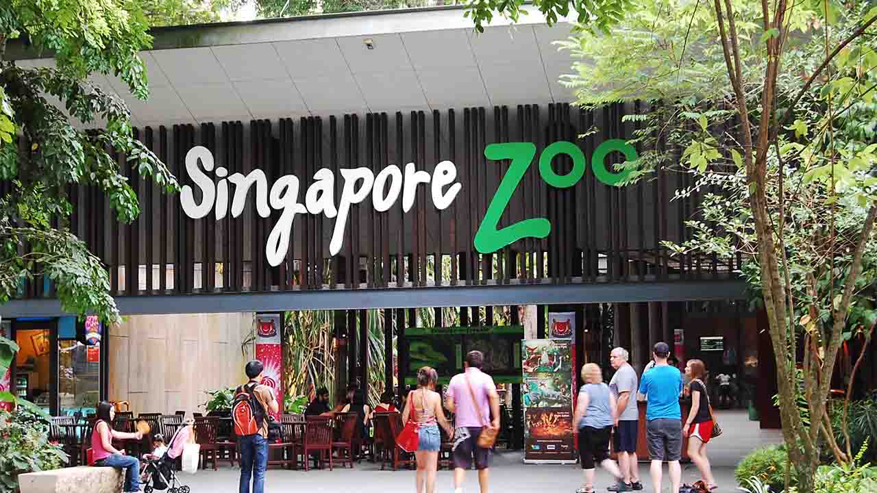 حديقة حيوان سنغافورة 