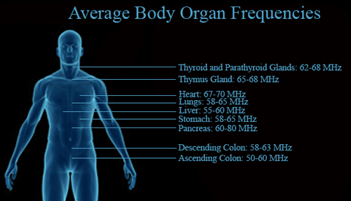 ترددات جسم الانسان